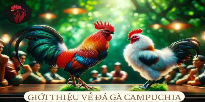 Tổng quan cổng game chủ đề đá gà trực tiếp C4